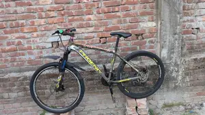 Phoenix Bicycle for sale