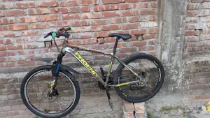 Phoenix Bicycle for sale