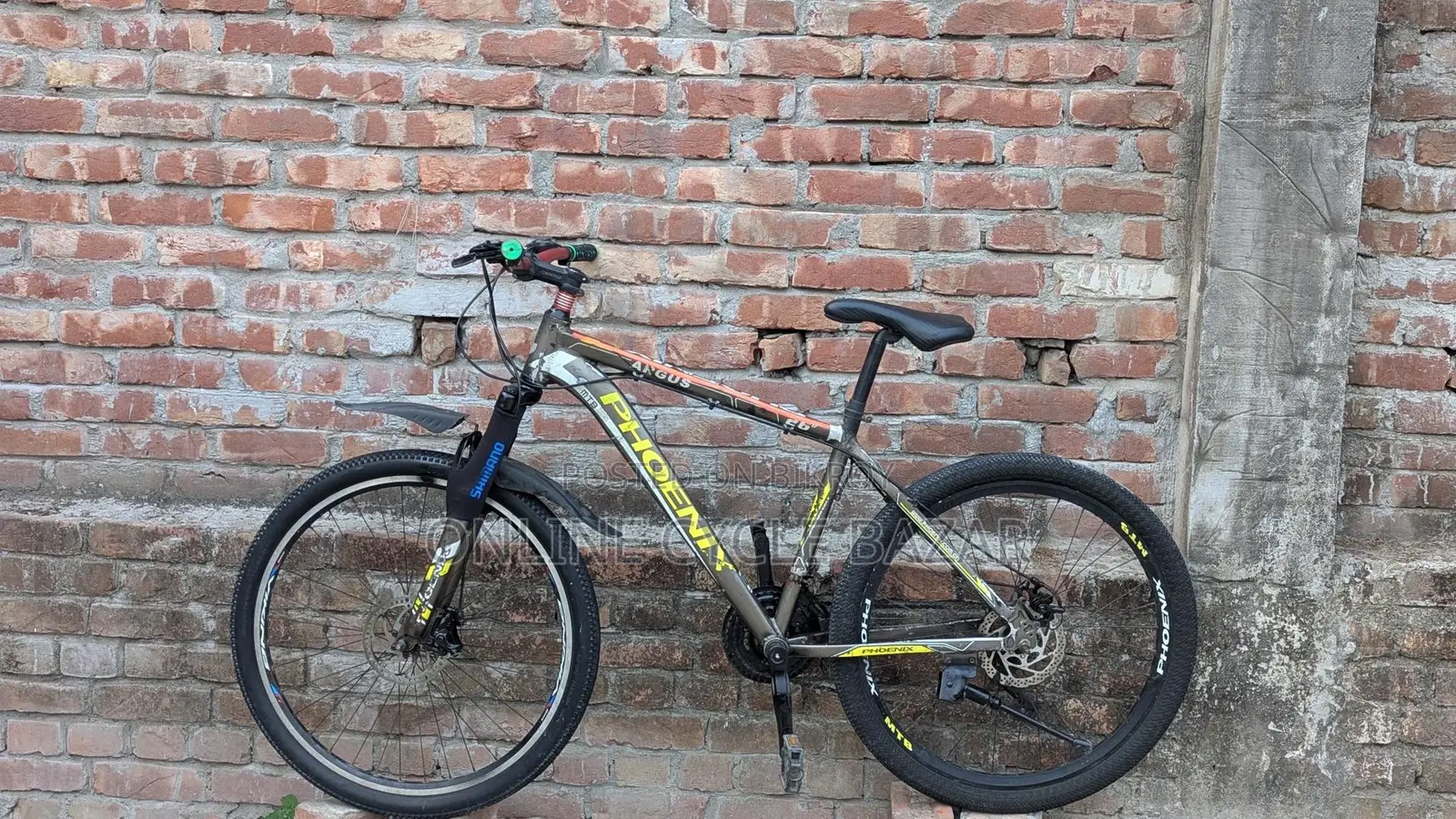 Phoenix Bicycle for sale