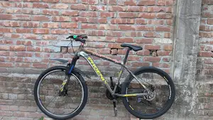 Phoenix Bicycle for sale