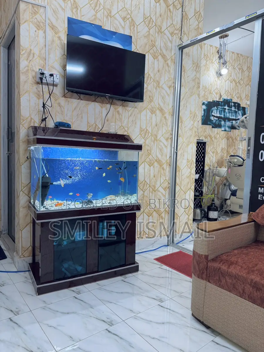 Aquarium with fish for sale.