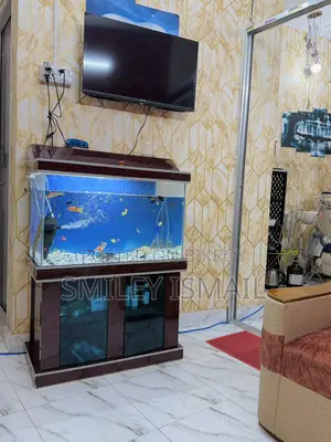 Aquarium with fish for sale.