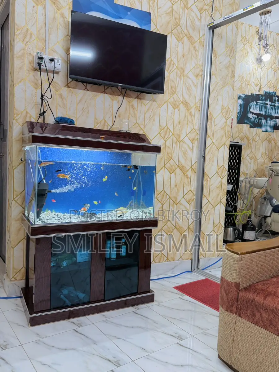 Aquarium with fish for sale.