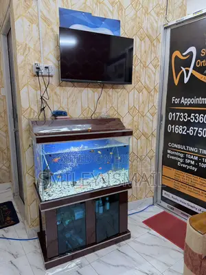 Aquarium with fish for sale.