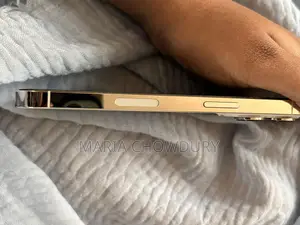 Apple iPhone 13 Pro (Used)