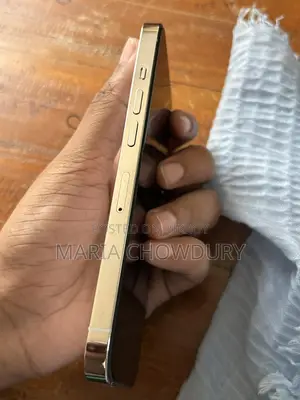 Apple iPhone 13 Pro (Used)