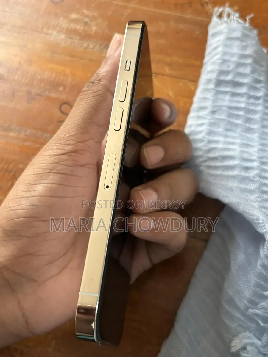 Apple iPhone 13 Pro (Used)