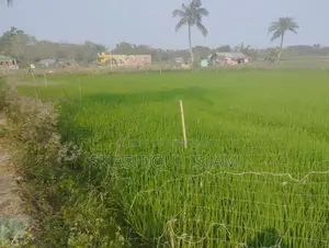 নিষ্কণ্টক জমি বিক্রয় হইবে। স্থান:- খুলনা রাজবাঁধ