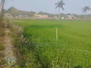 Dispute-free land for sale. Location: Khulna Rajbandh