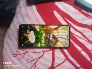 Lenovo 4-64 (Used)