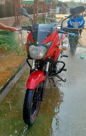 Bajaj Pulsar 150 Motorcycle 2020