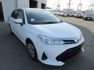 Toyota Axio EX PKG , 4.5 GREAT 2021