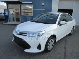 Toyota Axio EX PKG, 4.5 GREAT 2021