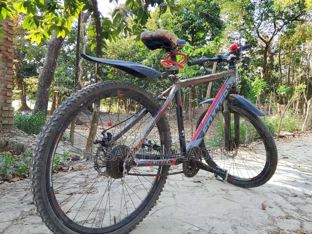 Bicycle for sale