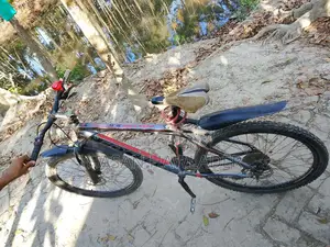 Bicycle for sale