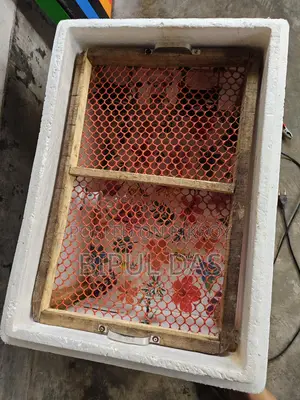 AC/DC Incubator 200/100 Eggs