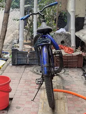 Bicycle for Sale