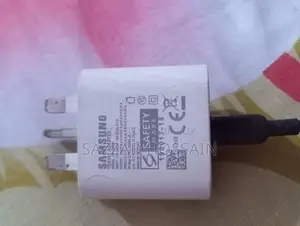 Samsung Original Charger