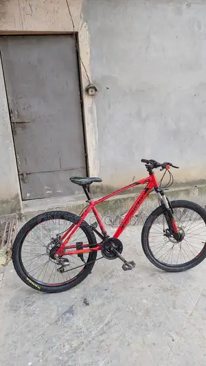 Seventy One Bicycle - Full Fresh Condition, No Scratches