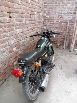Modified Freedom 2020 Bike