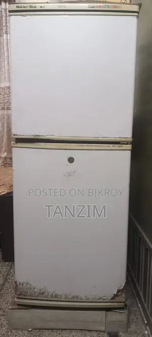 Mailing-Ston Double Door Refrigerator