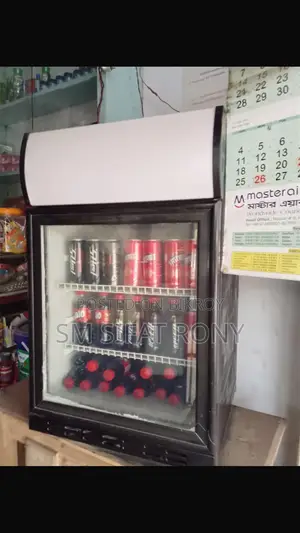 Mini Beverage Fridge
