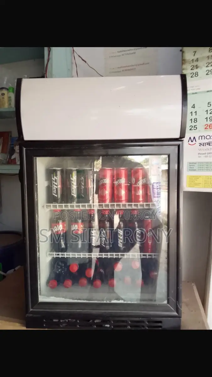 Mini Beverage Fridge