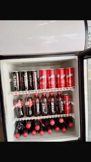 Mini Beverage Fridge