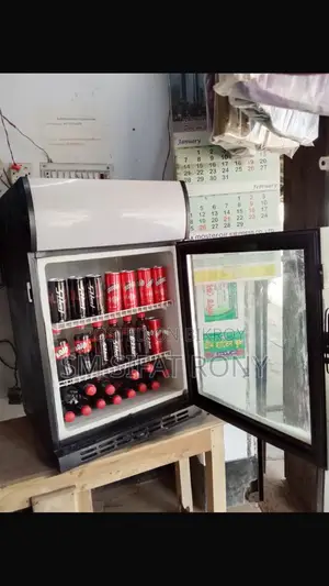 Mini Beverage Fridge