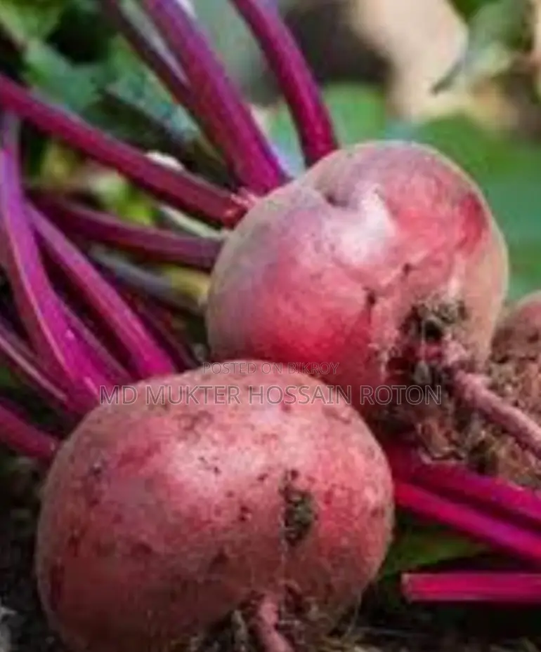 Organic Beetroot