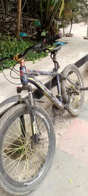 Selling My Bicycle