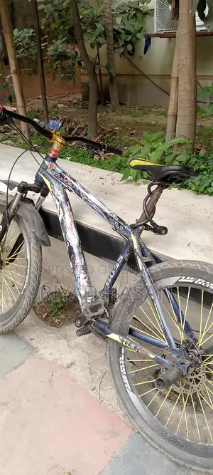 Selling My Bicycle
