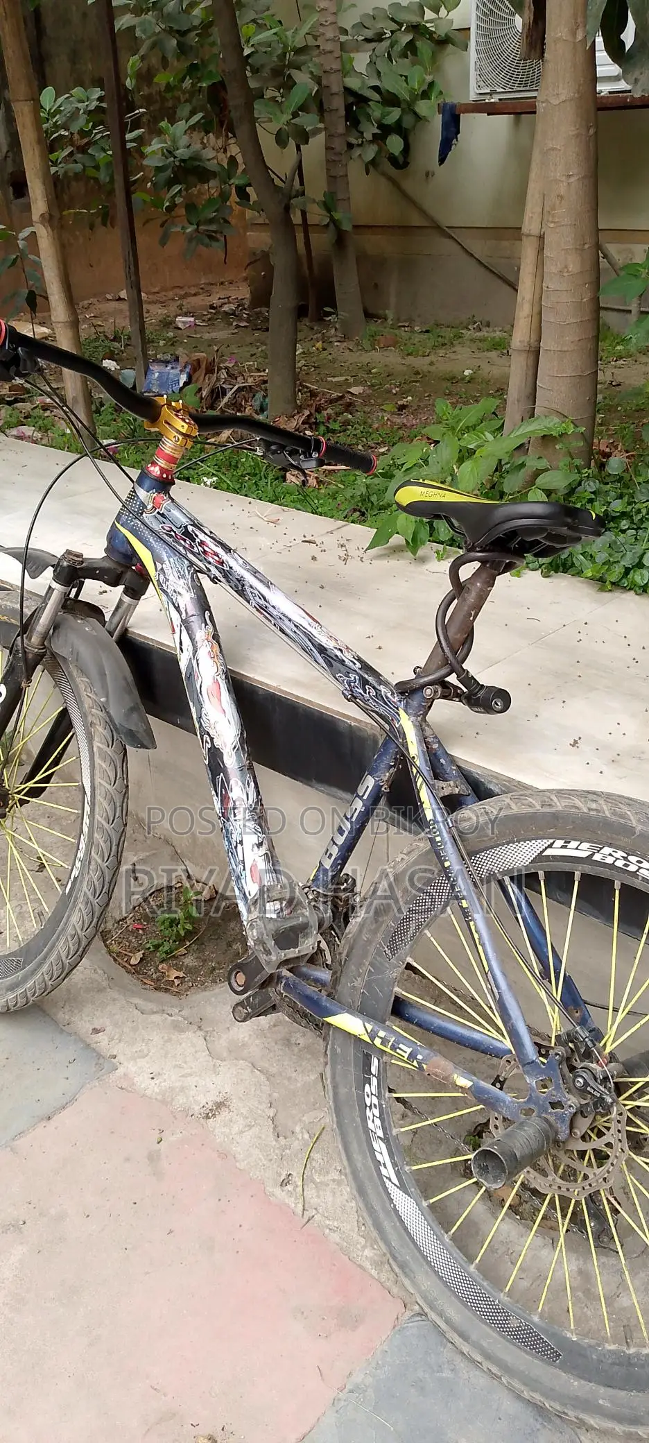 Selling My Bicycle