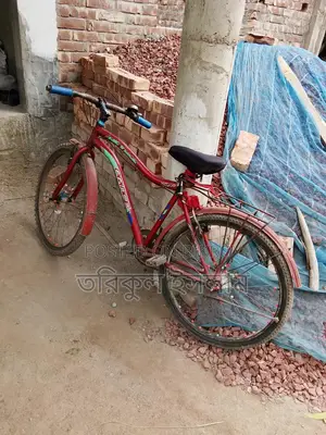 Running Bicycle