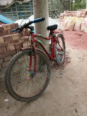 Running Bicycle