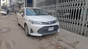 Toyota Axio PUSH-EX 2020