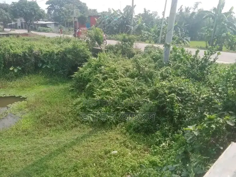 Land for Sale