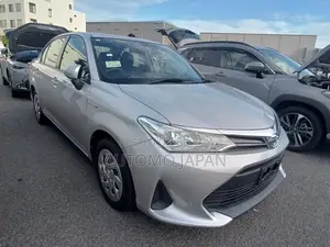 Toyota Axio EX 2020