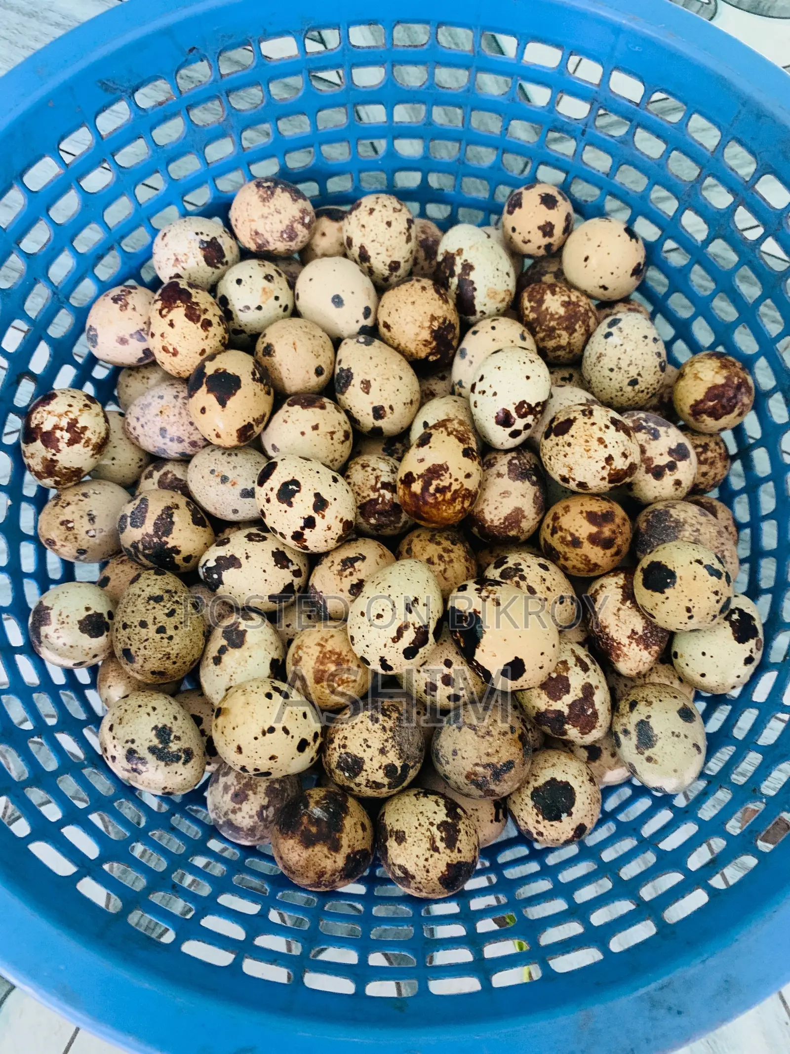 Quail Eggs