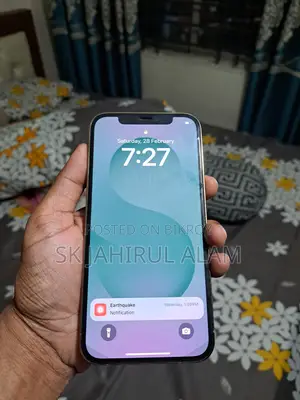 Apple iPhone 12 Pro (Used)