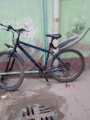 Duranta Bicycle for Sale