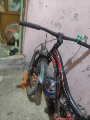 Prince Bicycle for Sale