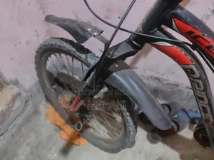 Prince Bicycle for Sale