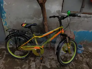 20-inch Bicycle for Kids
