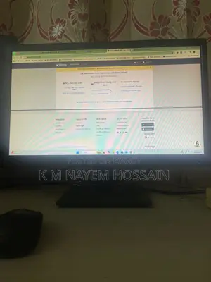 DELL 19 inc Monitor 1 Black Line Spot