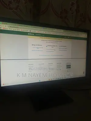 DELL 19 inc Monitor 1 Black Line Spot