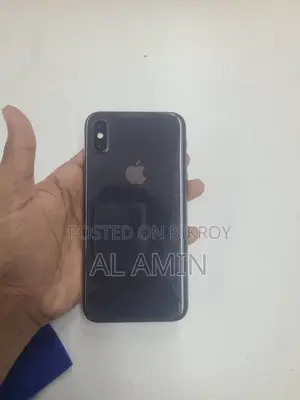 Apple iPhone X 256GB (Used)