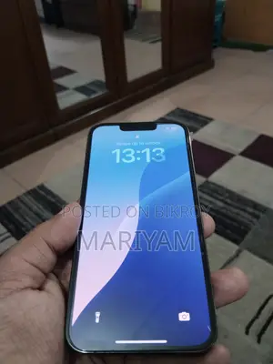 Apple iPhone 13 Pro 256GB (Used)