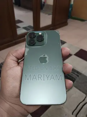 Apple iPhone 13 Pro 256GB (Used)