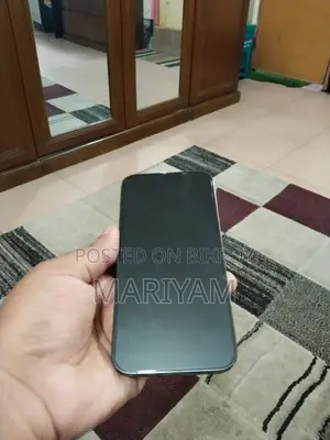 Apple iPhone 13 Pro 256GB (Used)
